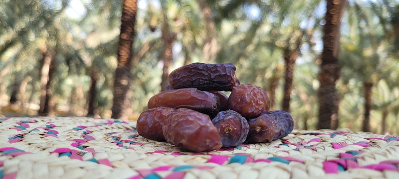 خرمای-پیارم-حاجی-آباد-800x360